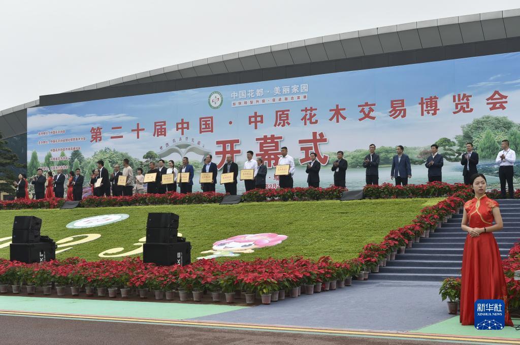 大圣闹海